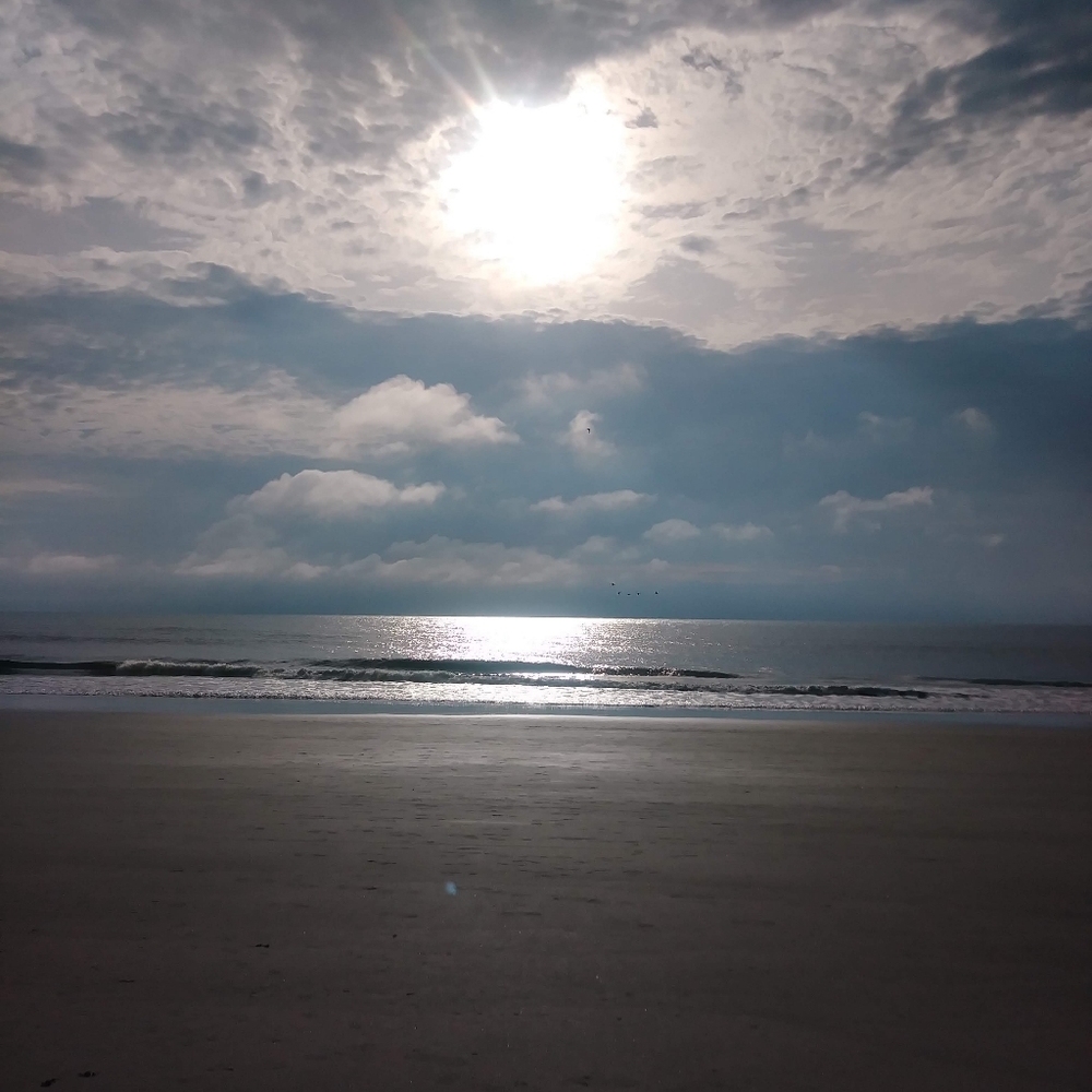 Meet your Posher, K.